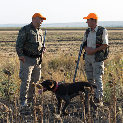 Duck-hunters-with-shotguns-walking-through-a-meadow-with-dog